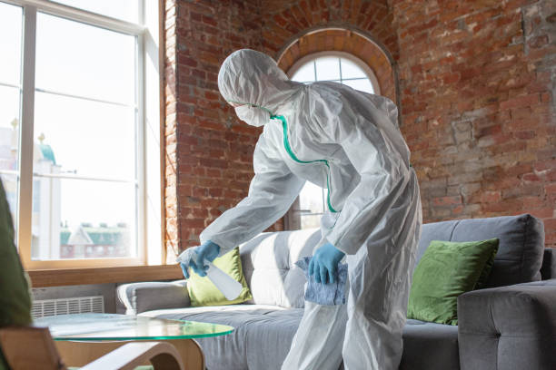 Union Springs, NY Mold Removal & Remediation Company